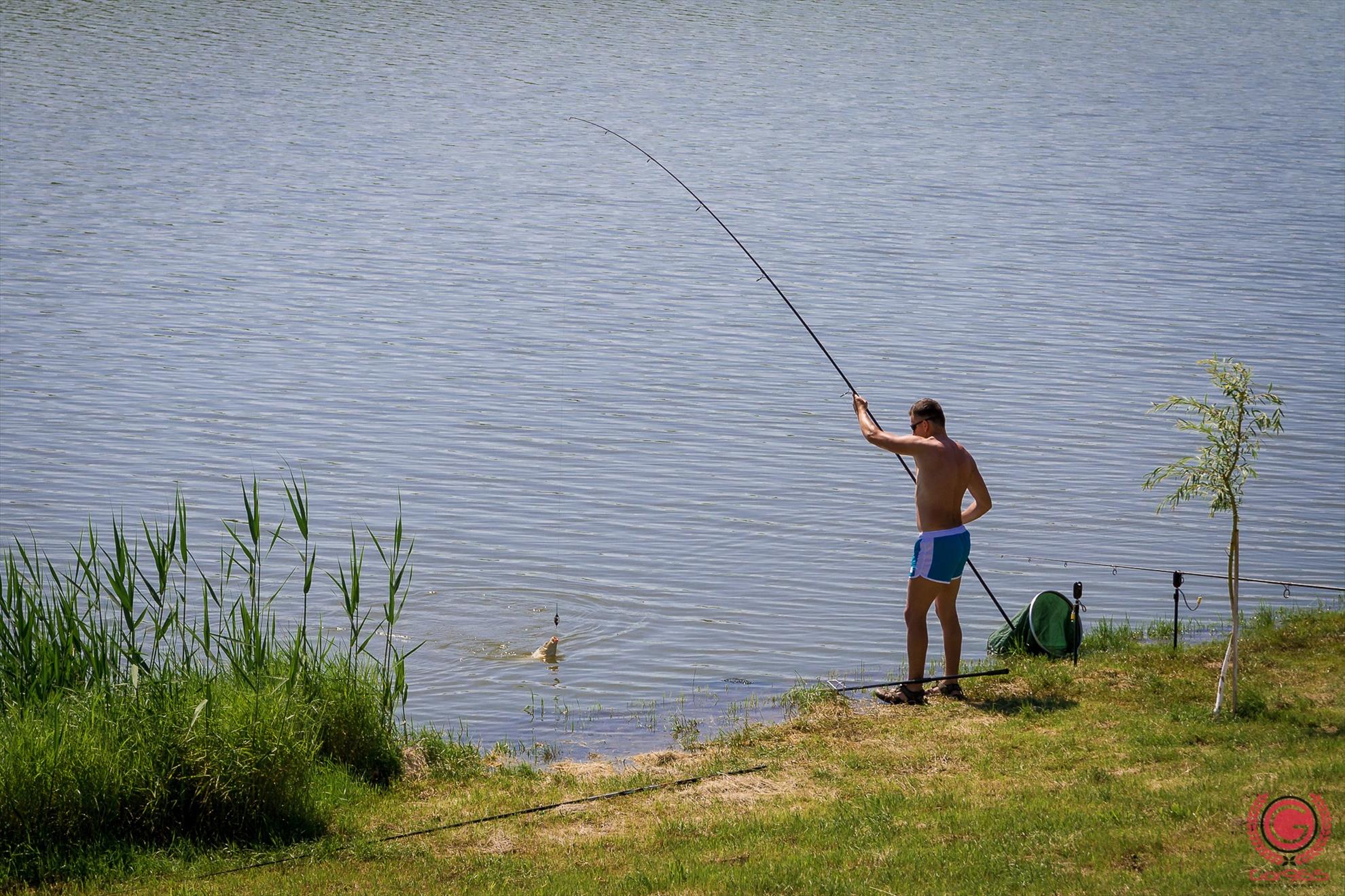 Uite permisul... nu e permisul de pescuit!